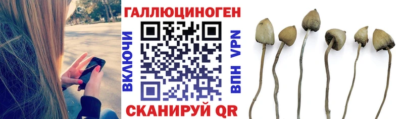 Галлюциногенные грибы Psilocybe  Боровск 